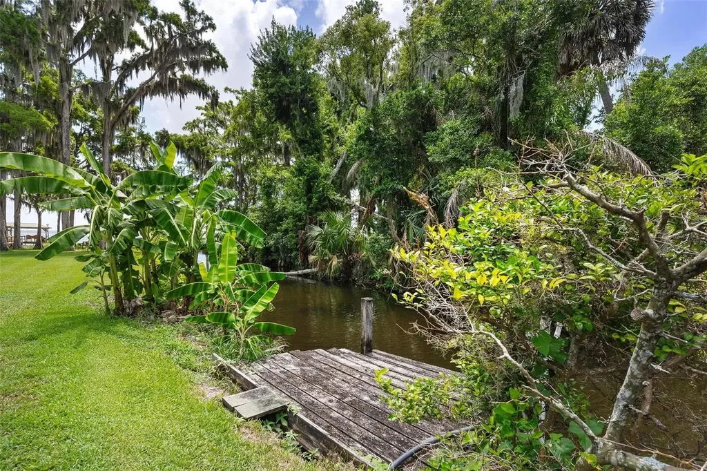 29205 S Corley Island Road Leesburg FL 34748