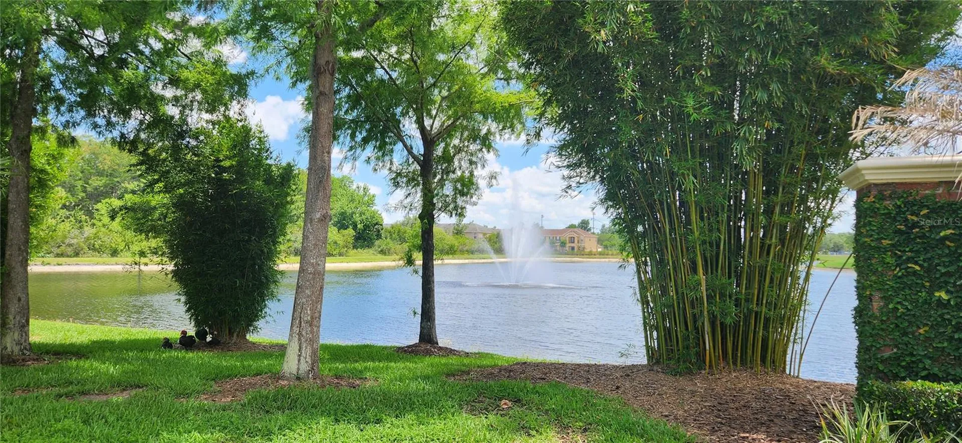16229 Old Ash Loop Orlando FL 32828