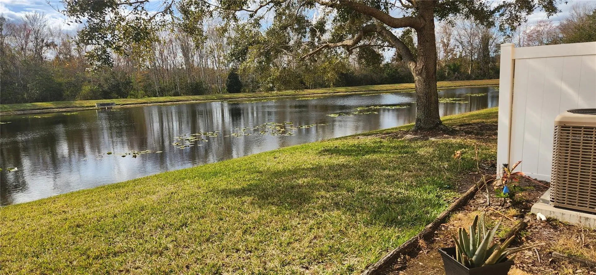16229 Old Ash Loop Orlando FL 32828