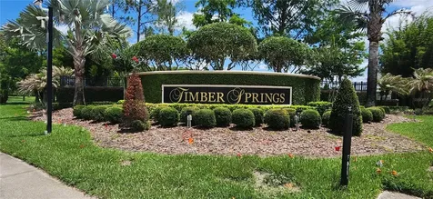 16229 Old Ash Loop Orlando FL 32828