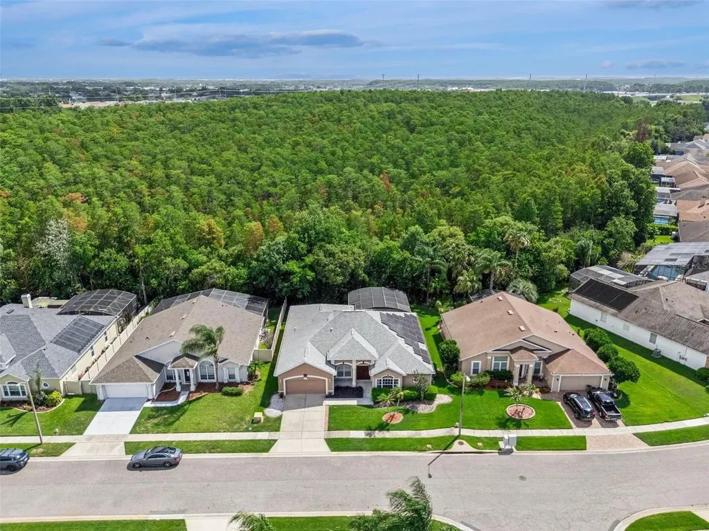 13429 Falcon Pointe Drive Orlando FL 32837
