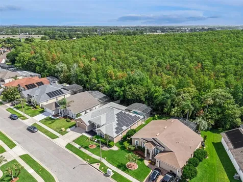 13429 Falcon Pointe Drive Orlando FL 32837
