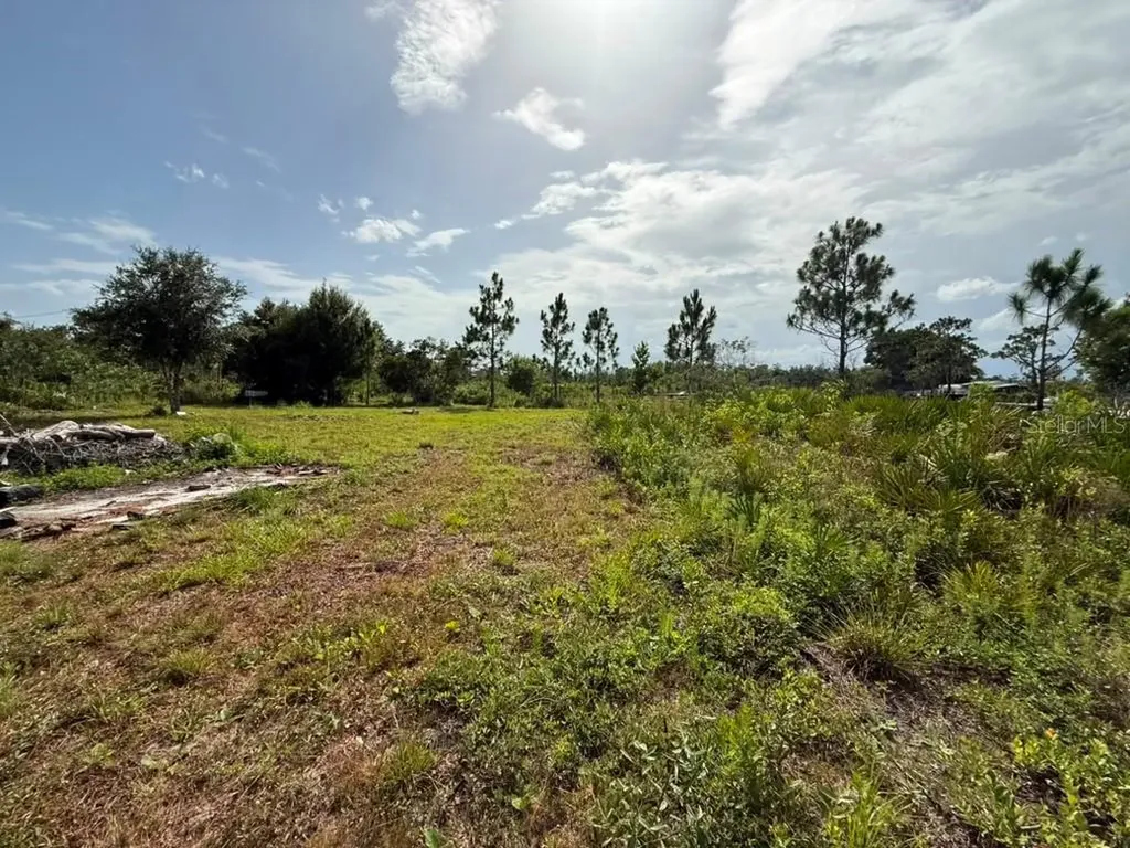 6139 Krazy St Cloud FL 34773