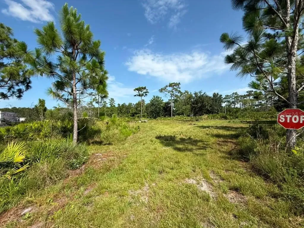 6139 Krazy St Cloud FL 34773