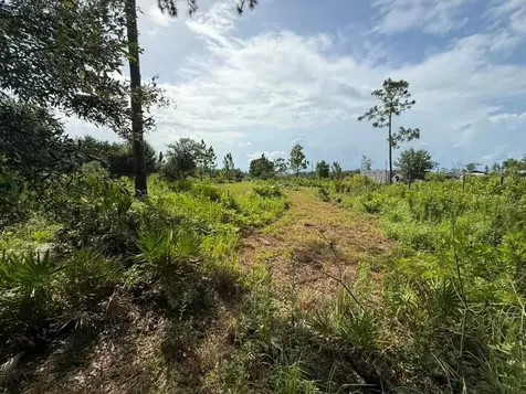 6139 Krazy St Cloud FL 34773