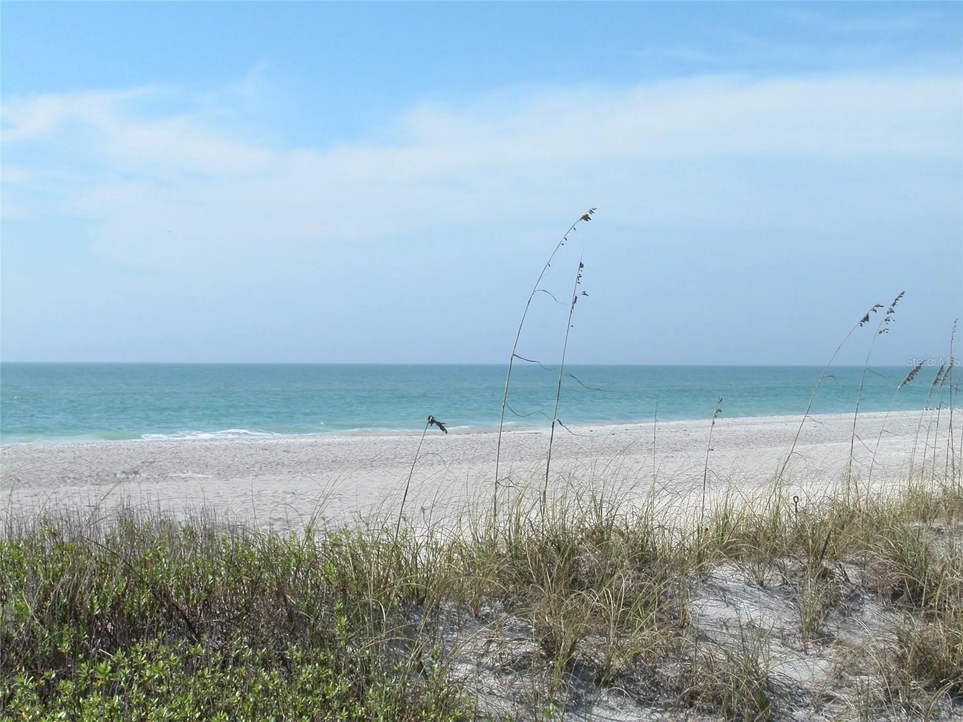 2020 Harbourside Drive Longboat Key FL 34228