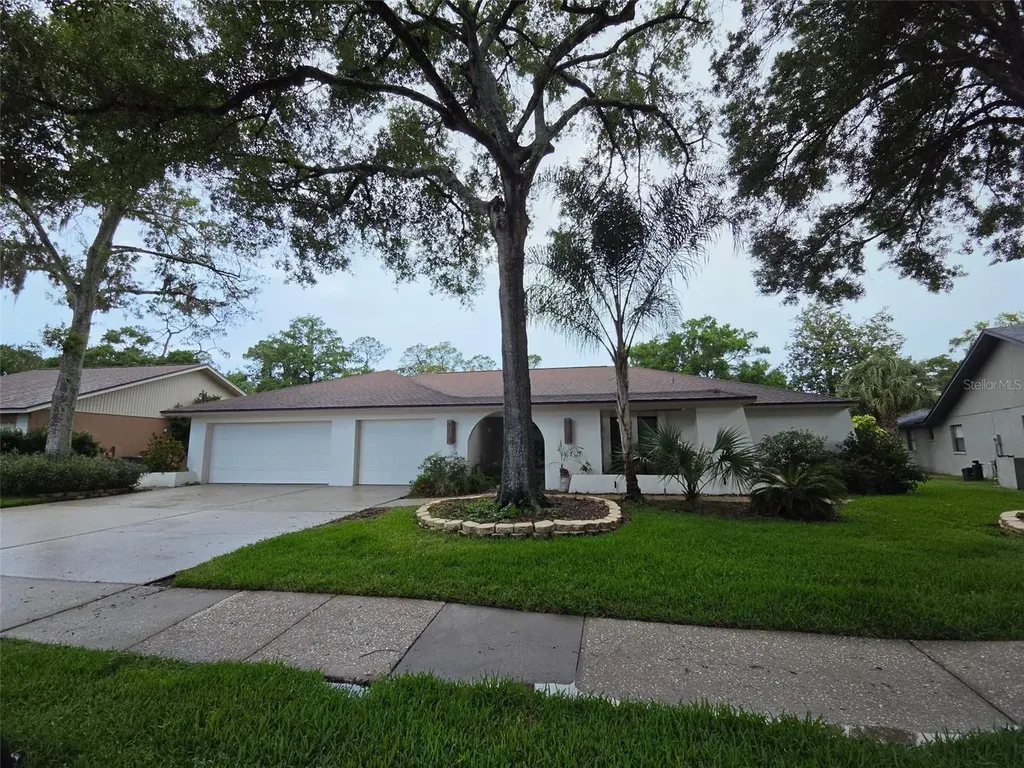 3126 Edgemoor Drive Palm Harbor FL 34685