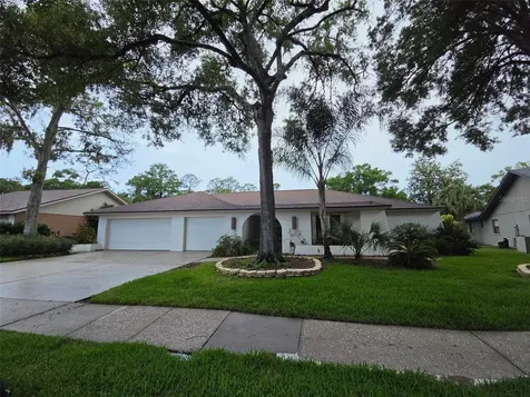 3126 Edgemoor Drive Palm Harbor FL 34685