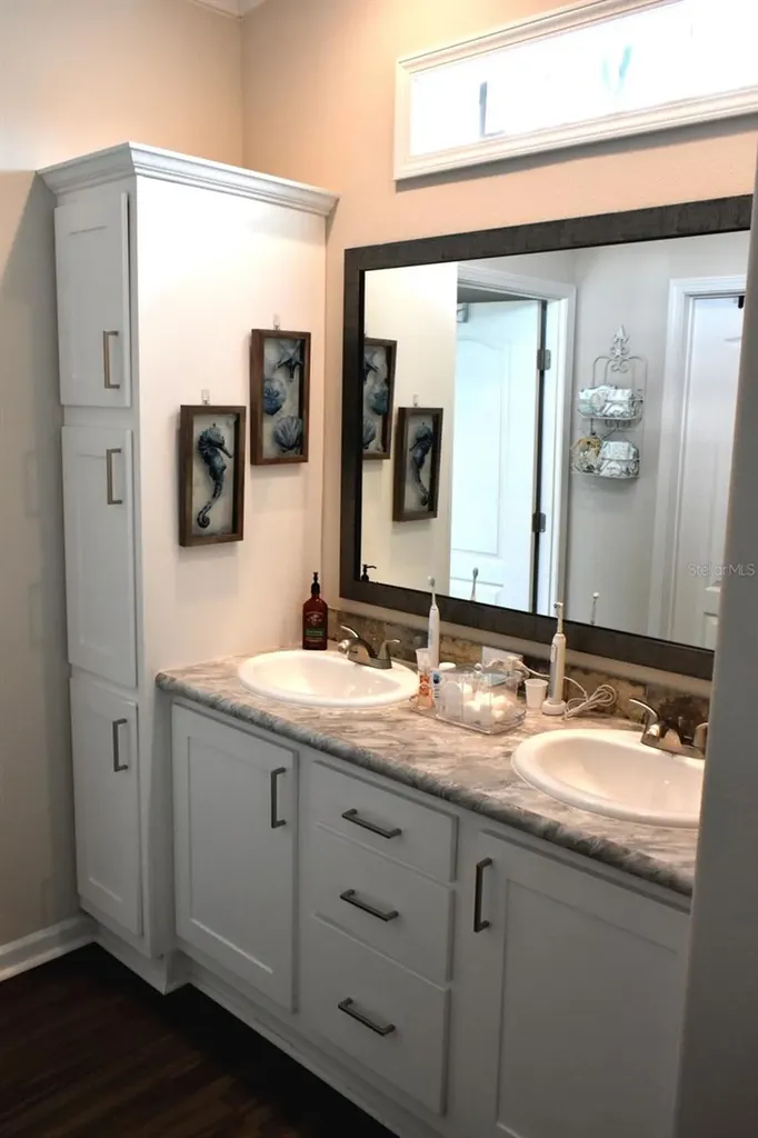 34916 Blue Starling Street Zephyrhills FL 33541