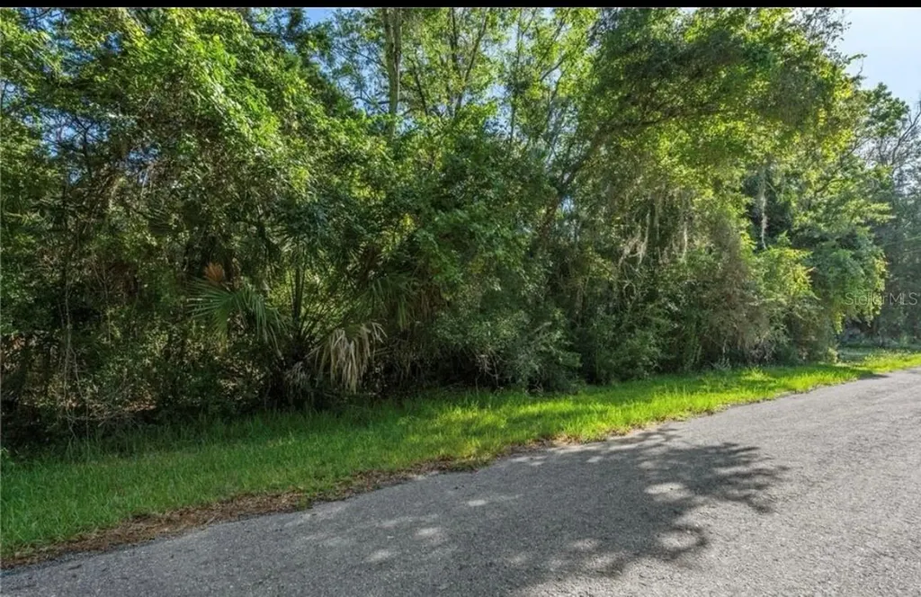 10975 W Rockhaven Lane Homosassa FL 34448