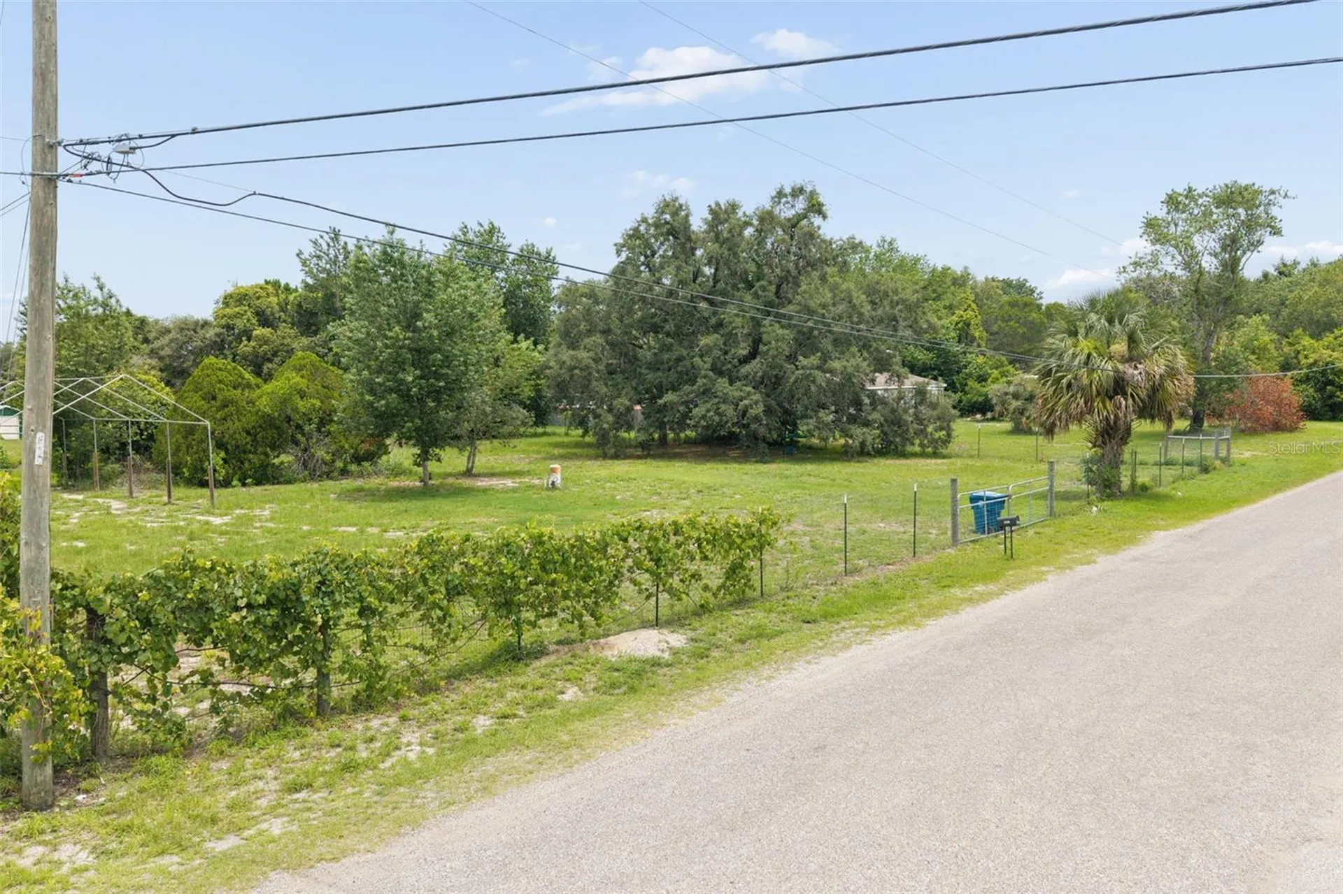 9361 Orchard Way Spring Hill FL 34608