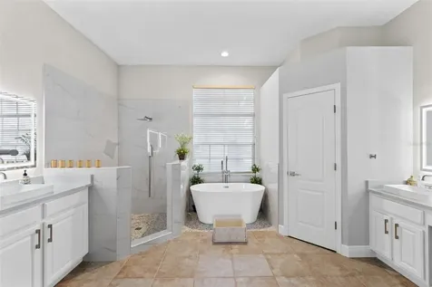 10273 Cove Lake Drive Orlando FL 32836