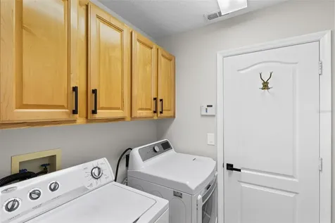 10273 Cove Lake Drive Orlando FL 32836