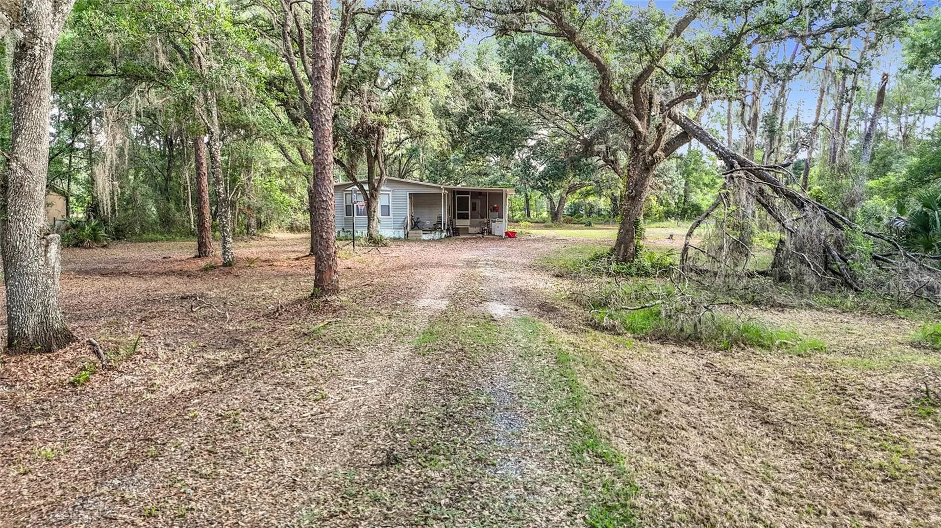 38625 County Line Road Zephyrhills FL 33540