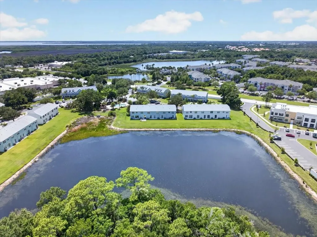11607 Colony Lake Drive Tampa FL 33635