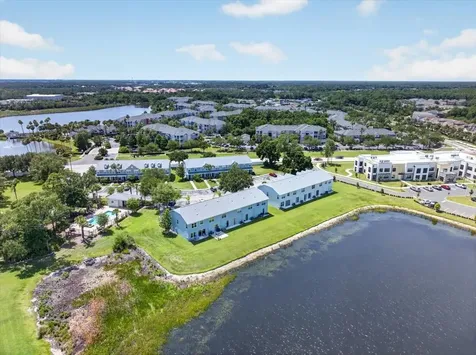 11607 Colony Lake Drive Tampa FL 33635