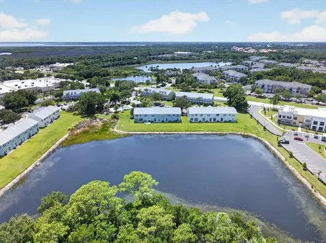 11607 Colony Lake Drive Tampa FL 33635