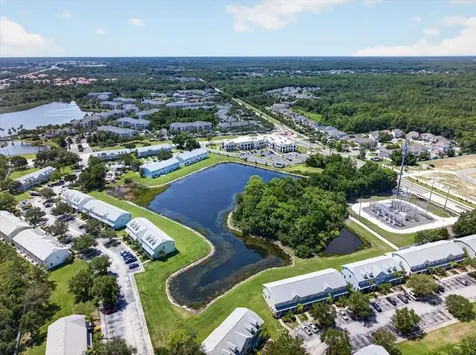11607 Colony Lake Drive Tampa FL 33635