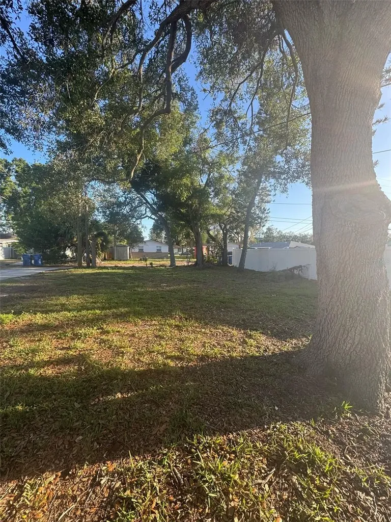 342 51st Avenue N St Petersburg FL 33703