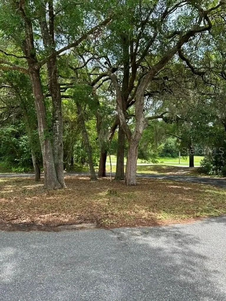 11480 SW 76th Avenue Ocala FL 34476