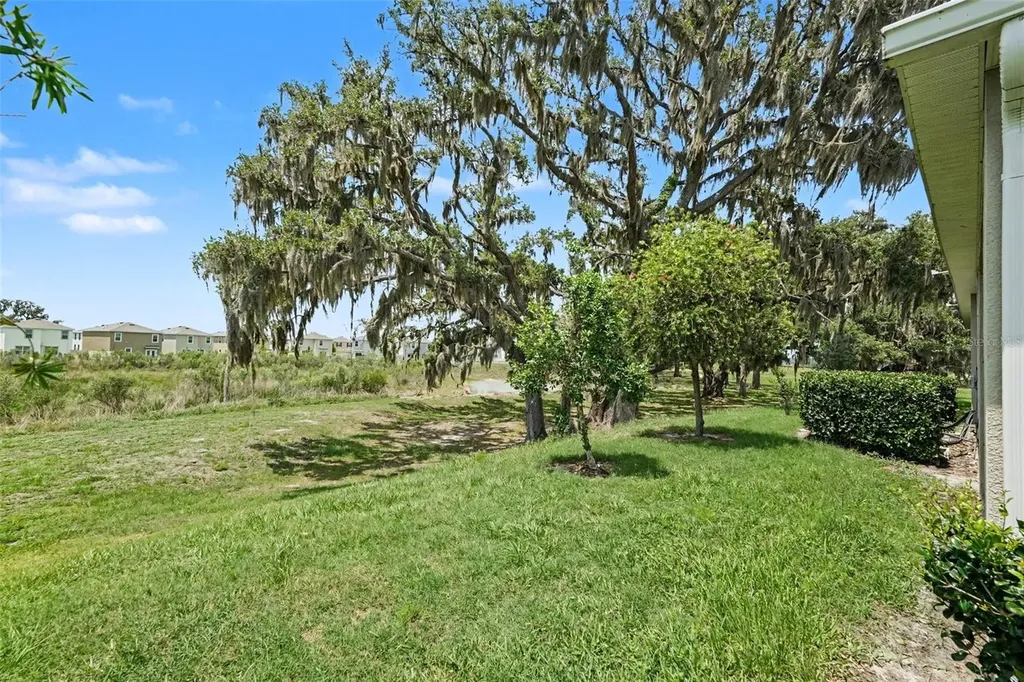 31457 Mango Fade Way San Antonio FL 33576