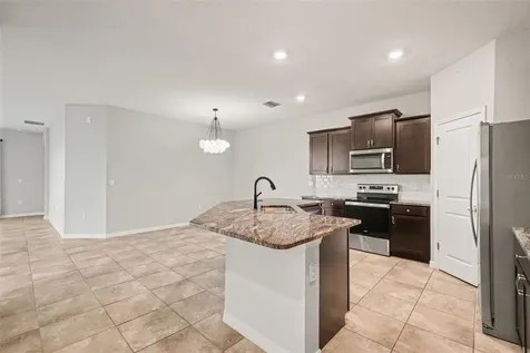 31457 Mango Fade Way San Antonio FL 33576