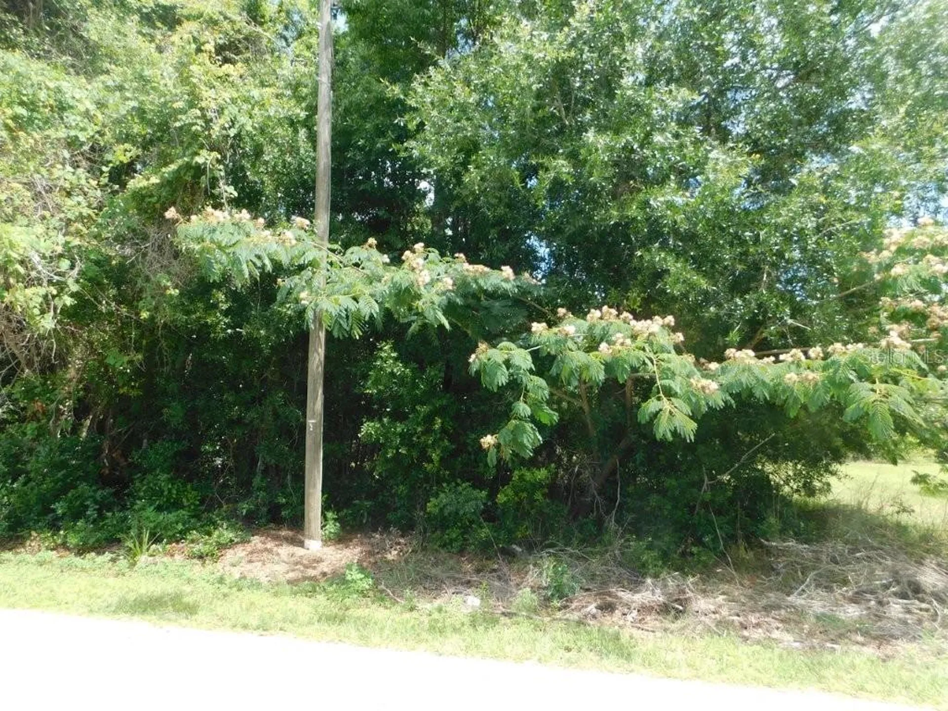 0 NW 66th Street Ocala FL 34475