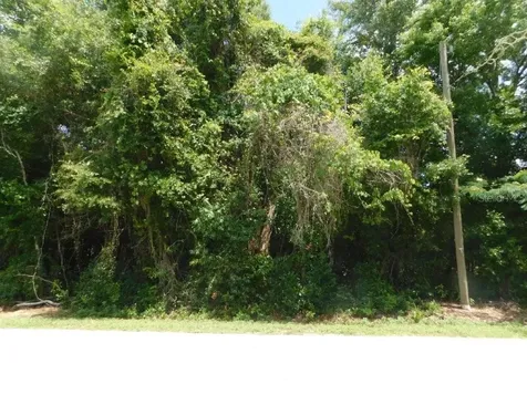 0 NW 66th Street Ocala FL 34475