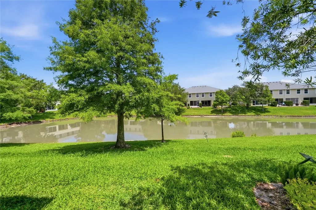 497 Harbor Ridge Drive Palm Harbor FL 34683