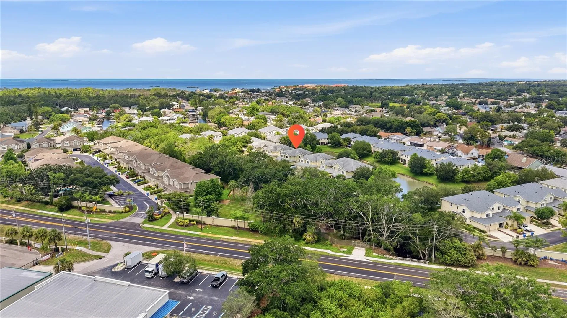 497 Harbor Ridge Drive Palm Harbor FL 34683