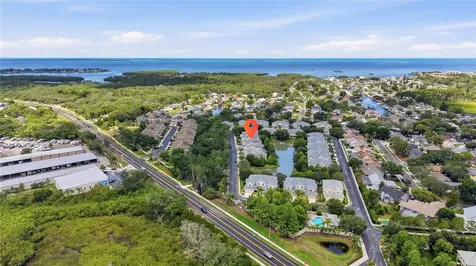 497 Harbor Ridge Drive Palm Harbor FL 34683
