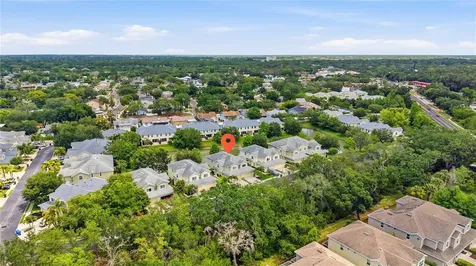 497 Harbor Ridge Drive Palm Harbor FL 34683