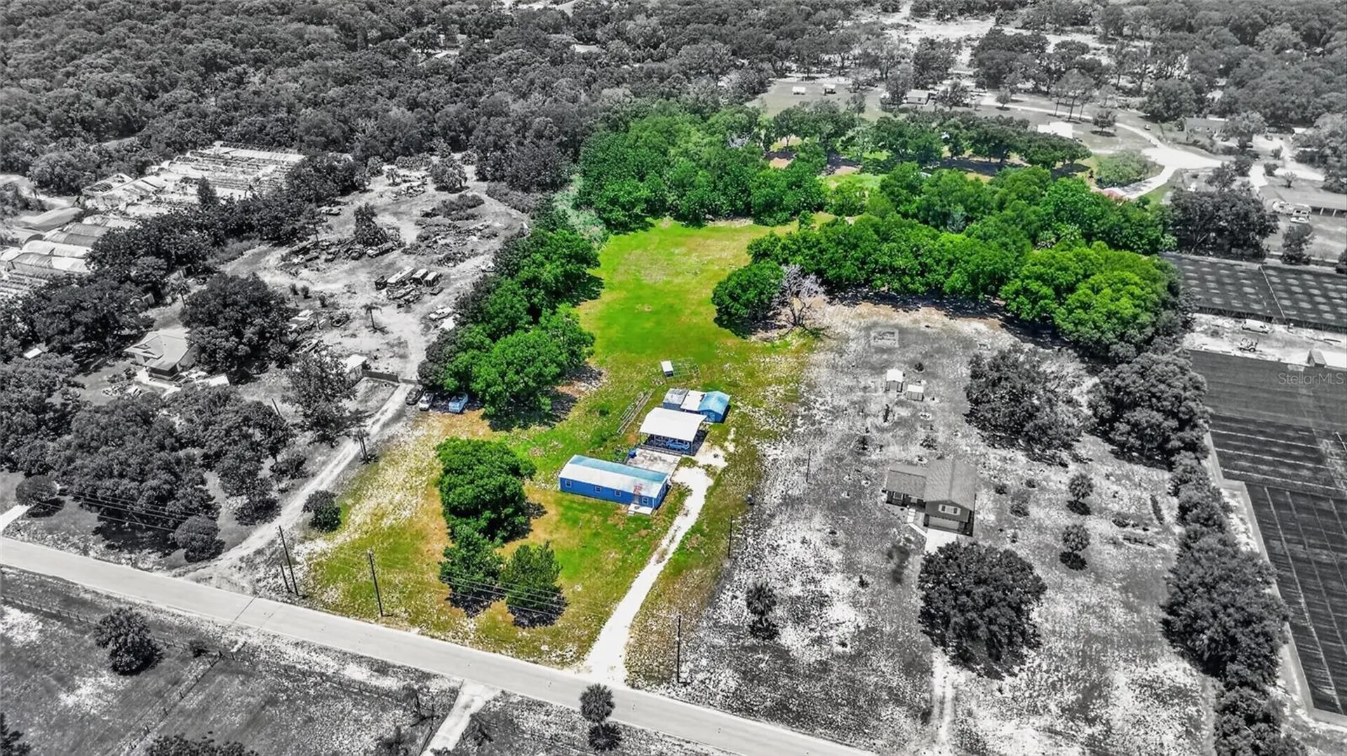 4162 Laughlin Road Mount Dora FL 32757