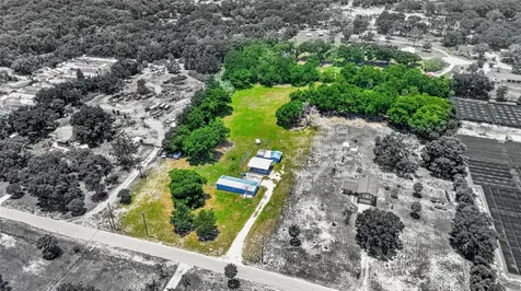 4162 Laughlin Road Mount Dora FL 32757