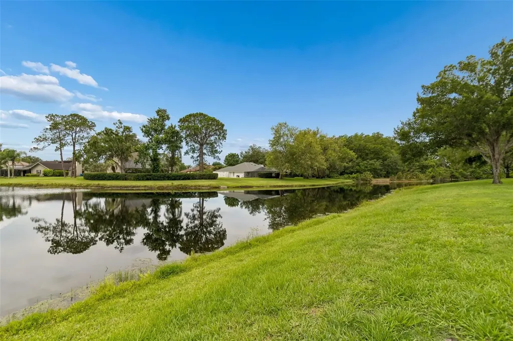 14040 Trouville Drive Tampa FL 33624