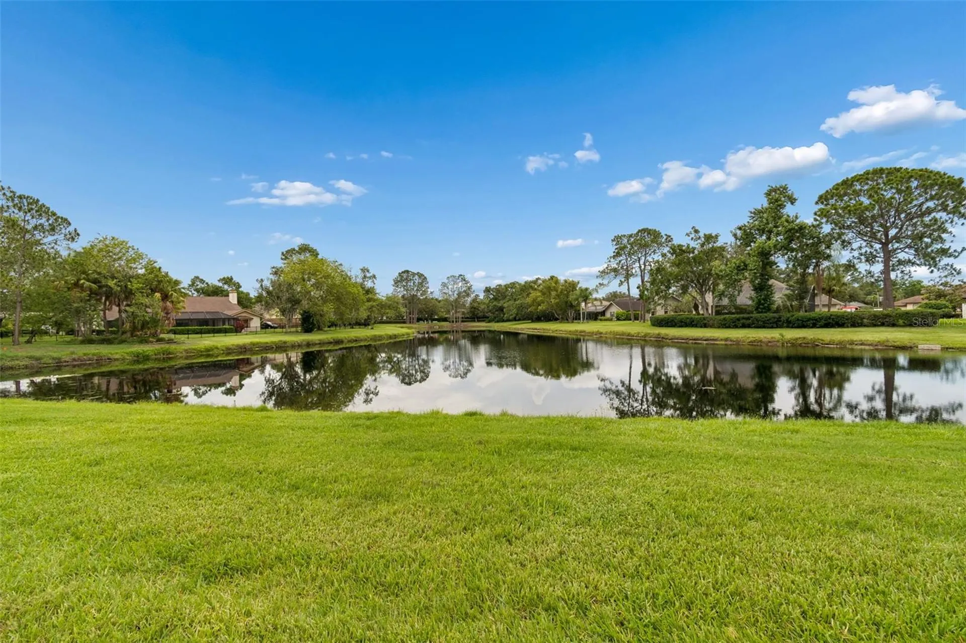 14040 Trouville Drive Tampa FL 33624