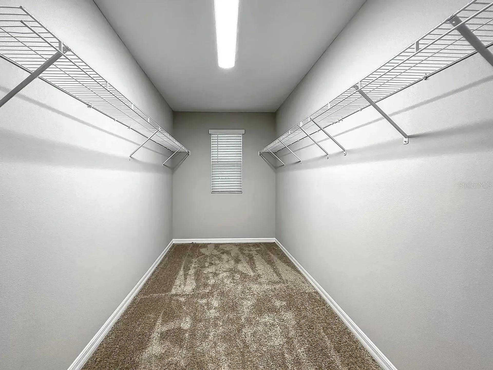 7540 Freesia Trace Wesley Chapel FL 33545