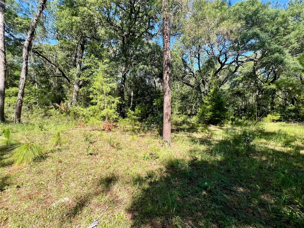 SE 152nd - (ravenswood Rd) Parcel B & C, Lots 16, 17 Place Altoona FL 32702