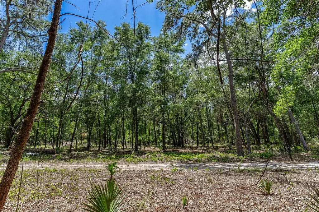 SE 152nd - (ravenswood Rd) Parcel B & C, Lots 16, 17 Place Altoona FL 32702
