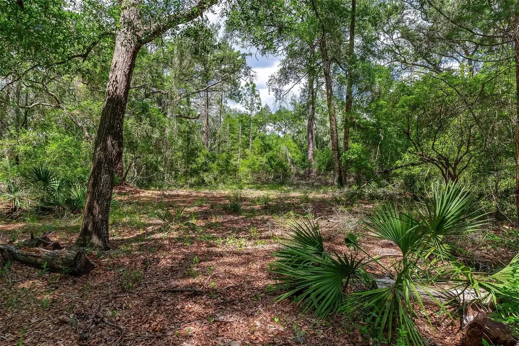 SE 152nd - (ravenswood Rd) Parcel B & C, Lots 16, 17 Place Altoona FL 32702