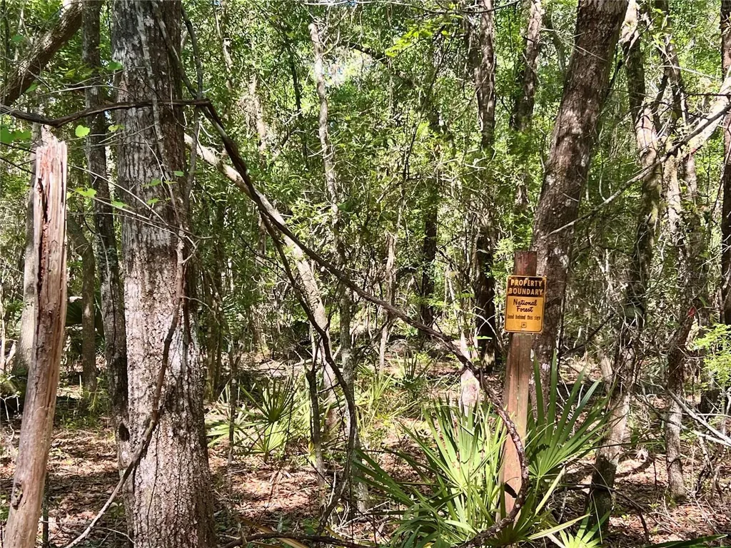 SE 152nd - (ravenswood Rd) Parcel B & C, Lots 16, 17 Place Altoona FL 32702