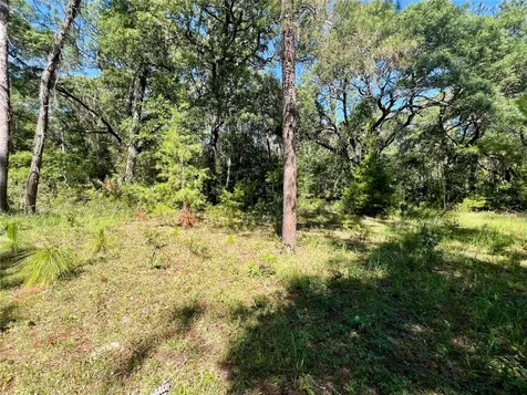 SE 152nd - Parcel B & C, Lots 16, 17 Place Altoona FL 32702