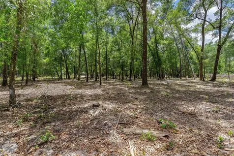 SE 152nd - Parcel B & C, Lots 16, 17 Place Altoona FL 32702