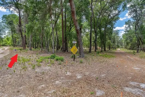 SE 152nd - Parcel B & C, Lots 16, 17 Place Altoona FL 32702