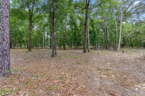 SE 152nd - Parcel B & C, Lots 16, 17 Place Altoona FL 32702