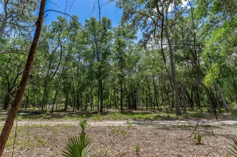 SE 152nd - Parcel B & C, Lots 16, 17 Place Altoona FL 32702
