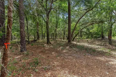 SE 152nd - Parcel B & C, Lots 16, 17 Place Altoona FL 32702