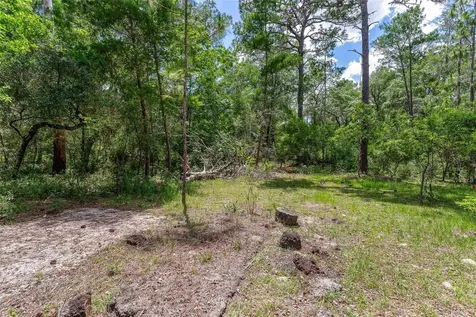 SE 152nd - Parcel B & C, Lots 16, 17 Place Altoona FL 32702