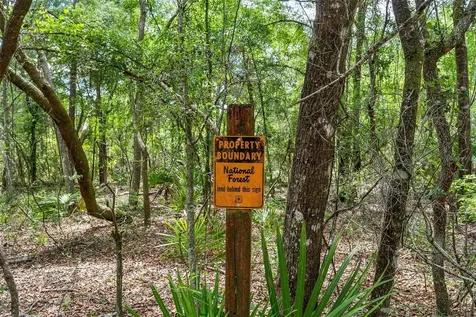 SE 152nd - Parcel B & C, Lots 16, 17 Place Altoona FL 32702