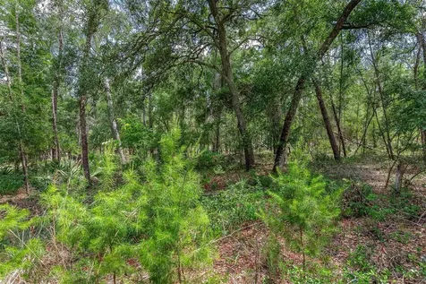 SE 152nd - Parcel B & C, Lots 16, 17 Place Altoona FL 32702